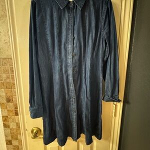 Madewell Dark Blue Denim Shirt dress